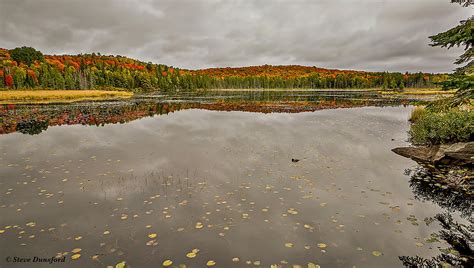 Fall In Algonquin Park Best Places To See The Colours