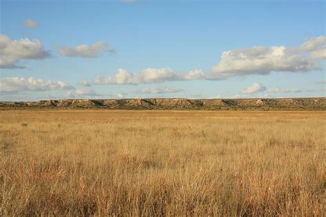 Short Grass Prairie Of The North American Great Plains Runs From The