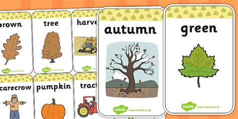Autumn Flash Cards Teacher Made