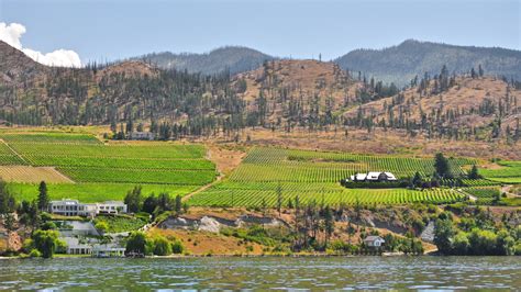 Visiting Kelowna Or Staying For A While Include These Activities In