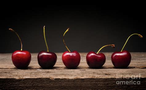 Five Cherries In A Row Photograph By Andreas Berheide Fine Art America