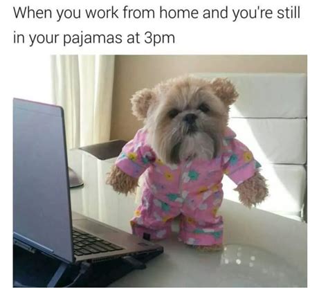 16 Working From Home Memes That Will Make You Smile Loumee