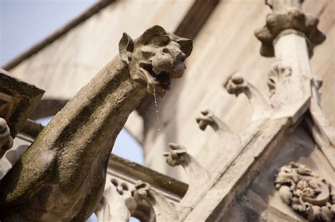 Notre Dame Cathedral Gargoyles History And Restoration