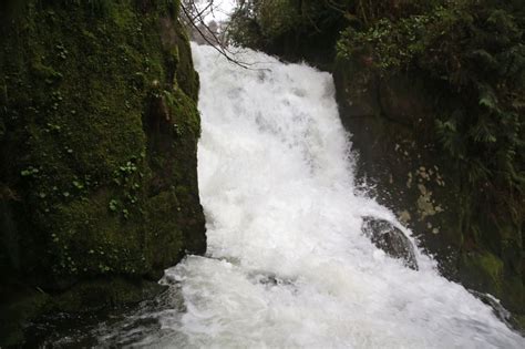 Sweet Creek Falls Is A Wonderful Overlooked Waterfall Hike In The