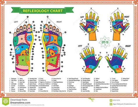Very Helpful Aromatherapy Techniques For Aromatherapy Massage Description Reflexology Chart