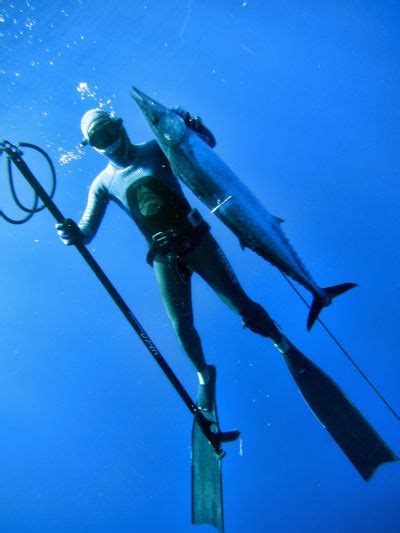 49 Best Spearfishing Images On Pinterest Spear Fishing Diving And