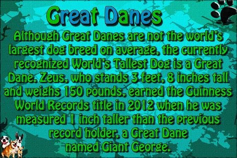 Great Dane Facts | Great dane facts, Great dane, Great 