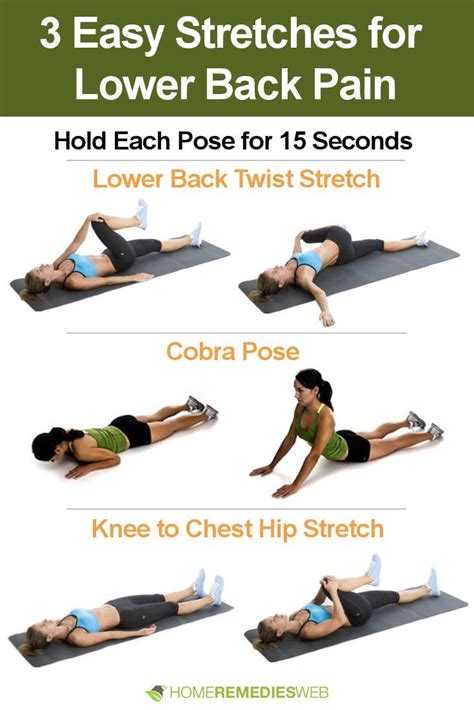 Back Pain Control Yoga Best Yoga Exercises