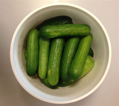 Pickle synonyms, pickle pronunciation, pickle translation, english dictionary definition of pickle. Kosher Dill Pickle Recipe - Karen Solomon - Content ...
