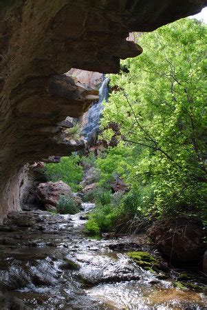 Sitting bull falls is a series of waterfalls located in a canyon in the lincoln national forest southwest of the city of carlsbad, new mexic. the-falls.jpg
