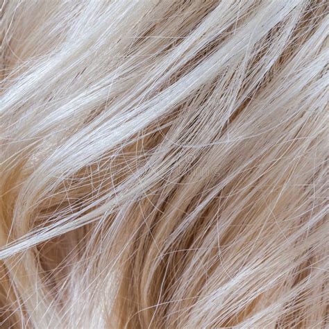 1797 Blonde Hair Blond Hair Texture Photos Free And Royalty Free Stock