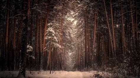 Stopping By Woods On A Snowy Evening By Robert Frost Youtube