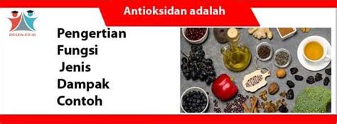 Untuk itu penalaran induktif erat dengan pengumpulan data. Paragraf Induktif: Pengertian, Ciri, Jenis dan Contohnya