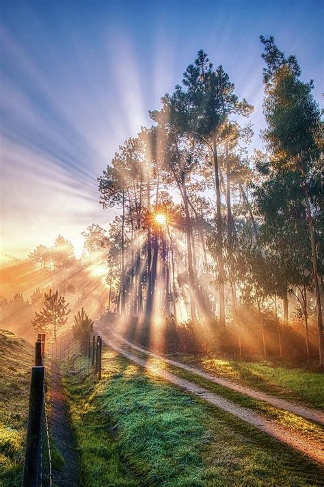 Country Road Sunrise Photograph By Nicholas Rocco Pixels