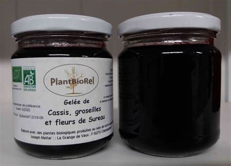 Mettre 150 grammes d'eau et 1000 grammes de groseilles lavés dans le thermomix. Gelée de cassis, groseilles et fleu - 210 g - Plantbiorel ...