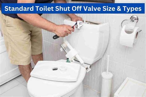 Standard Toilet Shut Off Valve Size And Typesright Size2024
