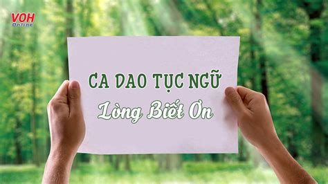 Tìm hiểu những câu thành ngữ về lòng biết on Ý nghĩa và ví dụ