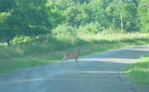 Maybe you would like to learn more about one of these? Overnight Excursion at Little Pine State Park ...