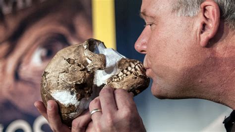 Aufgabe abitur homo naledi / the history of our tribe hominini : Homo naledi. Ecco perché la scoperta riscrive la storia dell'uomo