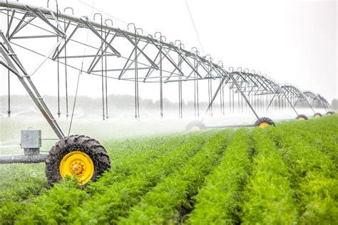 Azerbaijan launches production of center pivot irrigation ...
