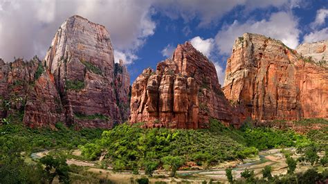 Download Cliff Tree Mountain Canyon Nature Zion National Park Hd Wallpaper
