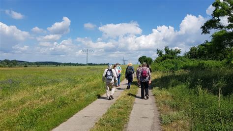 Maybe you would like to learn more about one of these? Erlebnis-Wanderung zum Sanddornerntefest in Petzow