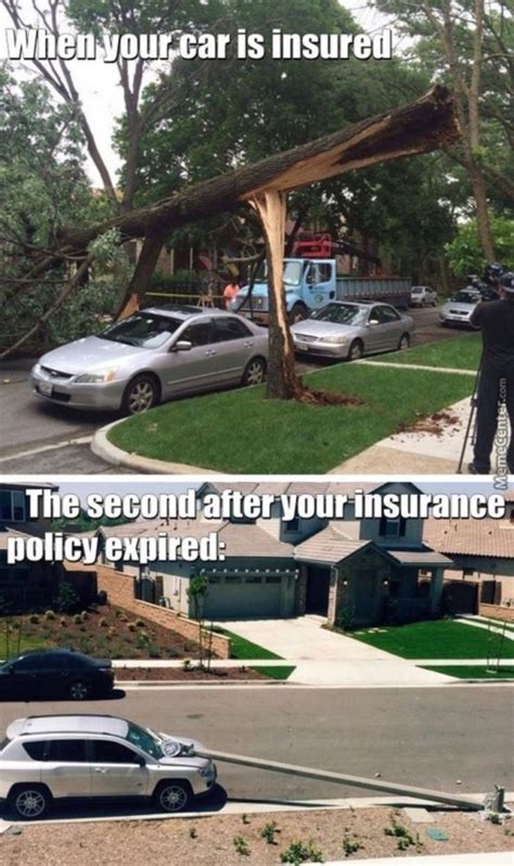 13 Most Hilarious Car Insurance Memes That Will Set Your Mood Right