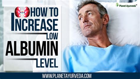 How To Improve Albumin Levels Plantforce21