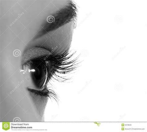 Brown Eye Stock Image Image Of Face Beauty Cosmetic 5270643