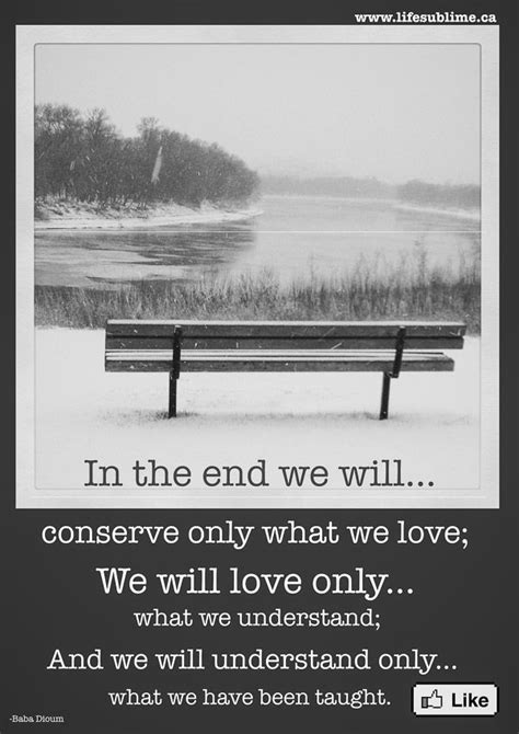 In The End We Will Conserve Only What We Love We Will Love Only What