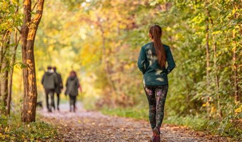 The Mental Health Benefits Of Walks In Nature Uk