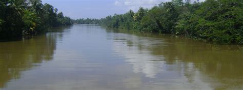 Kelani river water at risk of rapid contamination