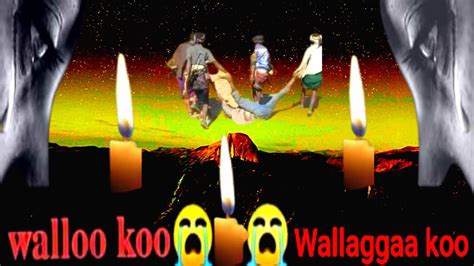 Oduu Gaddaa Dhumaatii Oromoo Walloo Fi Wallaggaa Youtube