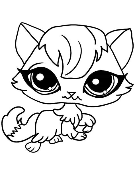Big Eyed Female Cat for Pet Coloring Page | Coloring Sky