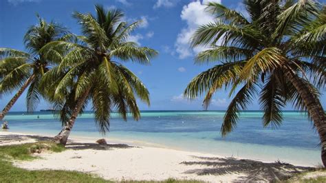 Micro Beach Saipan Mariana Islands Ultimate Guide April 2024