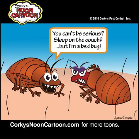 Bed Bug Cartoon Bed Cartoon Png Is About Is About Insect Bed Bug