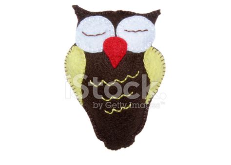 Fun Owl Stock Photo Royalty Free Freeimages