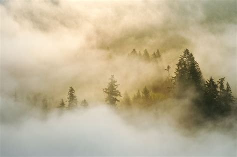 Foggy Landscape Wallpapers Top Free Foggy Landscape Backgrounds