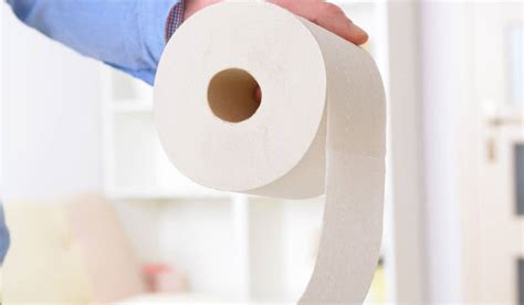 Best Rv Toilet Paper Review And Buying Guide In 2022 The Drive