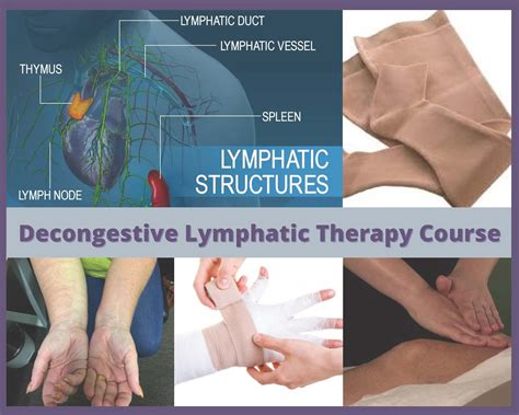 Lymphoedema Training Course Decongestive Lymphatic Therapy