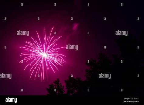 Purple Fireworks At Night Sky With Visible Trees Stock Photo Alamy