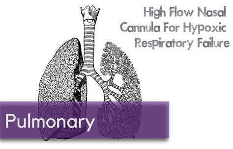 Is High Flow Nasal Cannula Effective For Adults With Acute Respiratory
