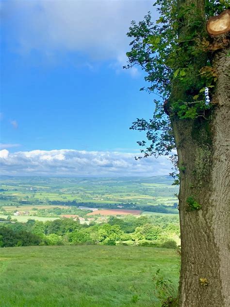 Why You Must Visit The Quantock Hills Somerset