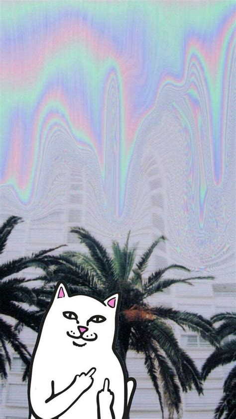 We made it really, really simple for people to make a blog and put whatever they want on it. Pin by Lorenzo Ruiz on Wallpapers | Ripndip wallpaper ...