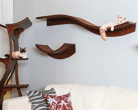 The Refined Feline Modern Cat Furniture Designer