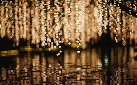 Kaba wallpapers khana photos collection 14 wallpapers. close up lights blur bokeh water a pool rain man ...