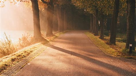 Autumn Sunlight Sun Rays Foggy Morning Road Nature Hd Wallpaper