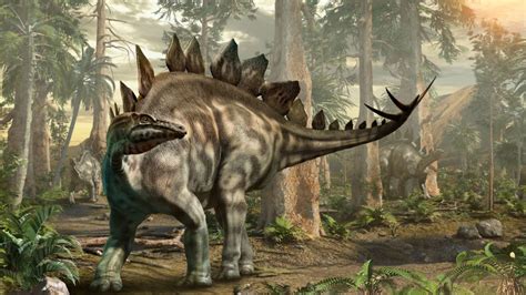 Stegosaurus Tracks Discovered Mental Floss