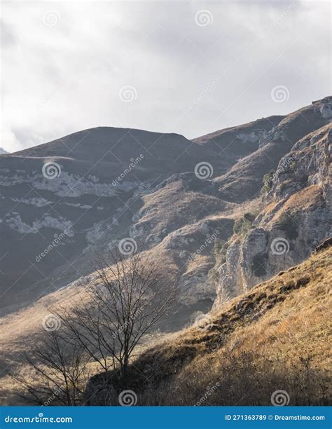 Mountain Slopes With Overgrown Vegetation In The Evening In The