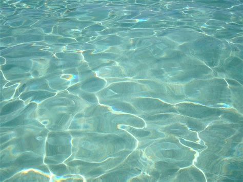 Ogni notte ritornar per cercarla in qualche bar, domandare: Acqua azzurra, acqua chiara: grazie Posidonia!